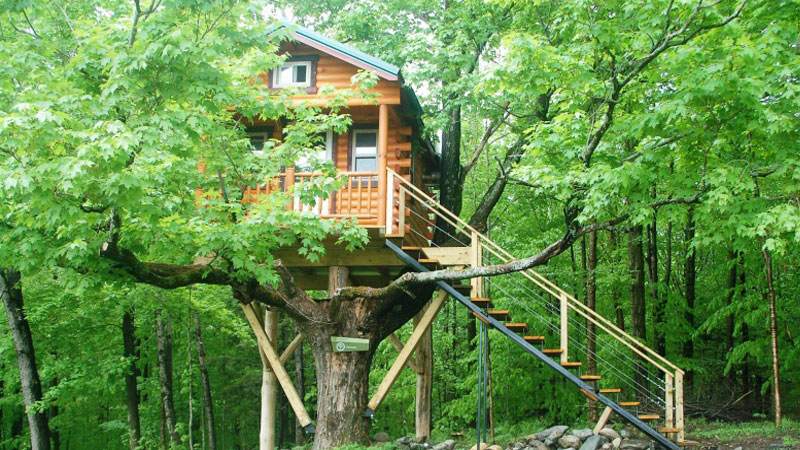 Tree House