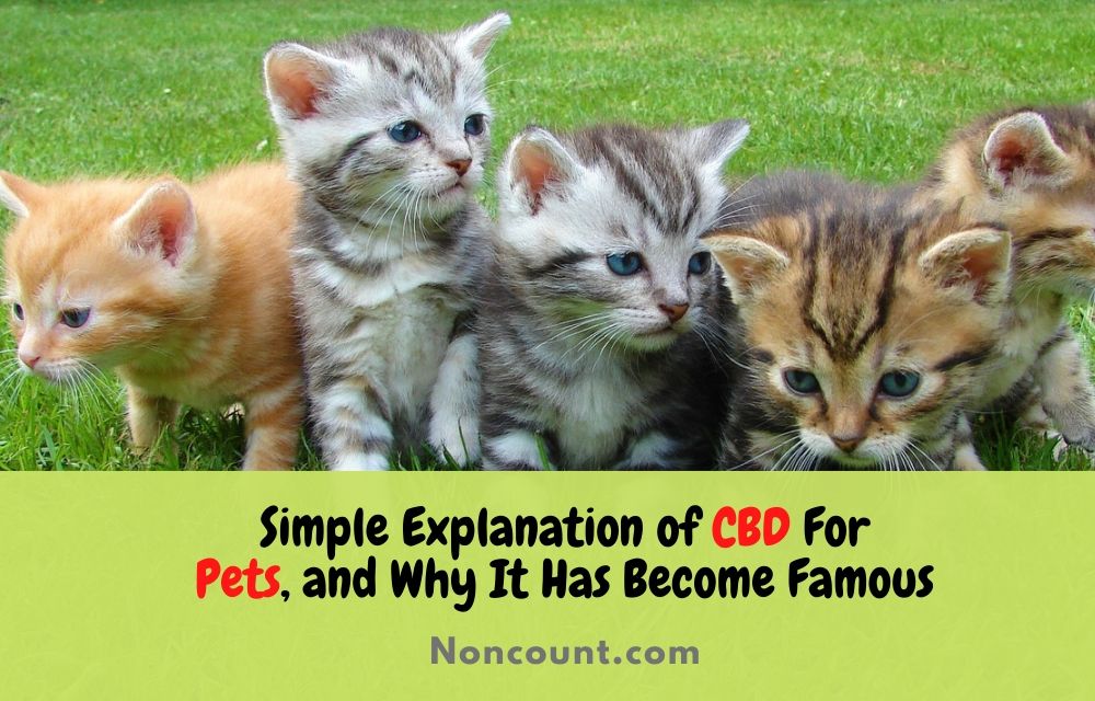 CBD For Pets