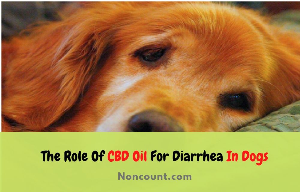 CBD Oil For Diarrhea In Dogs