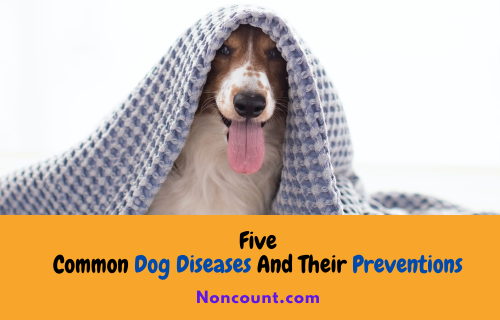 Five Common Dog Diseases And Their Preventions