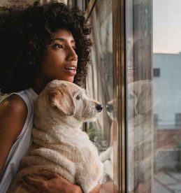 5 Things to Check to Select the Best CBD Products for Your Pets