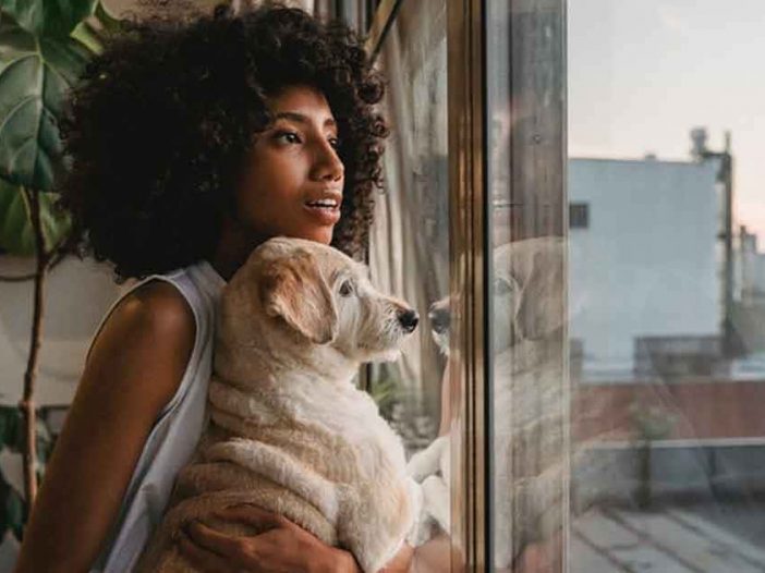 5 Things to Check to Select the Best CBD Products for Your Pets