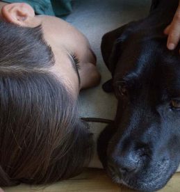 Help Your Child Cope With The Death Of A Pet
