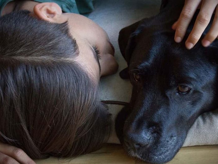 Help Your Child Cope With The Death Of A Pet