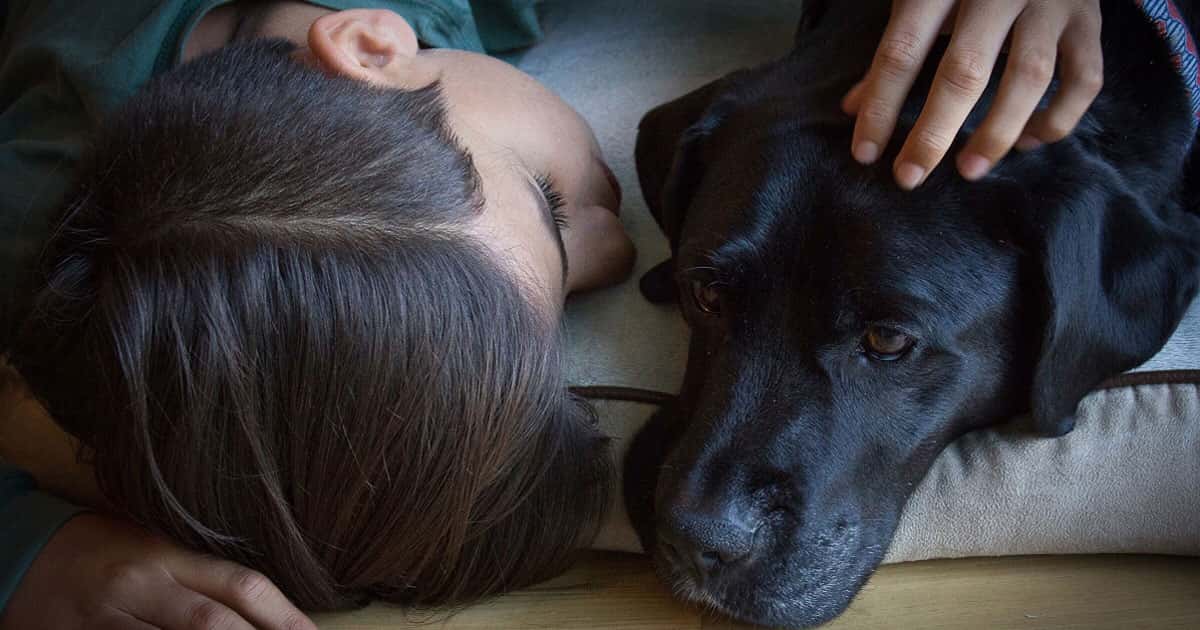 5 Ways to Help Your Child Cope With The Death Of A Pet - NonCount.com
